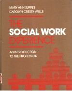 THE SOCIAL WORK EXPERIENCE  AN INTRODUCTION TO THE PROFESSION