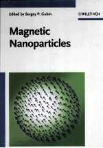 Magnetic Nanoparticles