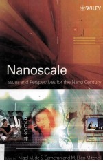 NANOSCALE ISSUES AND PERSPECTIVES FOR THE NANO CENTURY