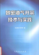 致密油气开采技术与实践