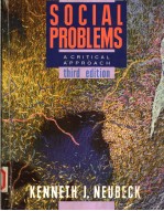 SOCIAL PROBLEMS  A CRITICAL APPROACH  THIRD EDITION