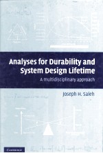 Analyses for Durability and System Design Lifetime A MULTIDISCIPLINARY APPROACH