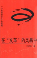 在“文革”的风暴中  一个普通知识分子的遭遇