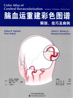 脑血运重建彩色图谱  解剖、技巧及病例