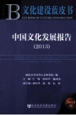 中国文化发展报告  2013