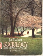 SOCIOLOGY  A CONCEPTUAL APPROACH  SECOND EDITION