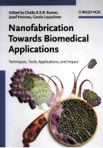 Nanofabrication Towards Biomedical Applications Techniques