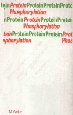 PROTEIN PHOSPHORYLATION