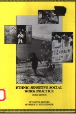 ETHNIC-SENSITIVE SOCIAL WORK PRACTICE  THIRD EDITION