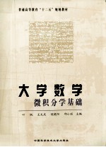 大学数学  微积分学基础