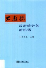 大数据  政府统计的新机遇