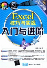 Excel技巧与实战入门与进阶