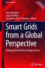 smart grids from a global perspective bridging old and new energy systems