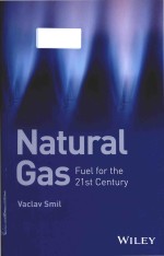 natural gas fuel for the 21st century