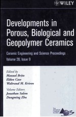 Developments in Porous