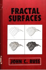 FRACTAL SURFACES