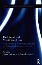 the internet and constitutional law the protection of fundamental rights and constitutional adiudica