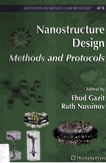 Nanstructure Design Methods and Protocols