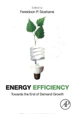 energy efficiency towards the end of demand growth