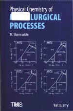 physical chemistry of metallurgical processes