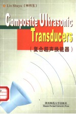 COMPOSITE ULTRASONIC TRANSDUCERS