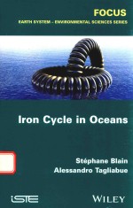 THE BIOGEOCHEMICAL CYCLE OF SILICON IN THE OCEAN