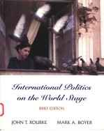 INTERNATIONAL POLITICS ON THE WORLD STAGE  BRIEF EDITION