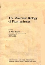 THE MOLECULAR BIOLOGY OF PICORNAVIRUSES