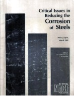 Critical Issues in Reducing the Corrosion of Steels Nikko