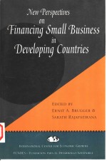 NEW PERSPECTIVES ON FINANCING SMALL BUSINESS IN DEVELOPING COUNTRIES