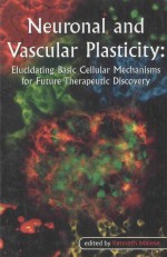 NEURONAL AND VASCULAR PLASTICITY