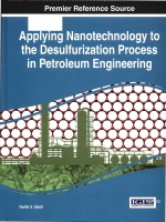 applying nanotechnology to the desulfurization process in petroleum engineering