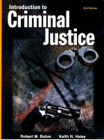 Introduction to criminal justice