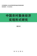 中国农村集体经济实现形式研究