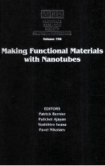 Making Functional Materials with Nanotubes