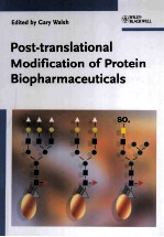 Post-translational Modification of Protein Biopharmaceuticals