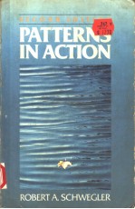 PATTERNS IN ACTION  SECOND EDITION