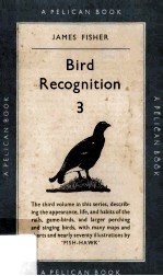 Bird Recognition III Rails