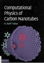 COMPUTATIONAL PHYSICS OF CARBON NANOTUBES
