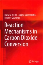 REACTION MECHANISMS IN CARBON DIOXIDE CONVERSION