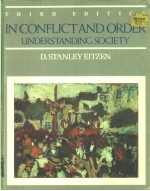 IN CONFLICT AND ORDER UNDERSTANDING SOCIETY  THIRD EDITION