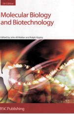 Molecular Biology and Biotechnology 5th Edition