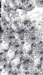 Elements of The Topology of Plane Sets of Points