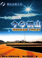 今日鹤山  2007