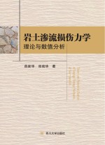 岩土渗流损伤力学理论与数值分析