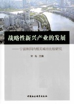 战略性新兴产业的发展  宁波和国内相关城市比较研究