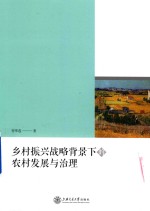 乡村振兴战略背景下的农村发展与治理