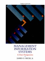 Management information systems : a user perspective