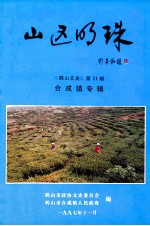 鹤山文史  第21期