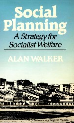 Social planning : a strategy for socialist welfare